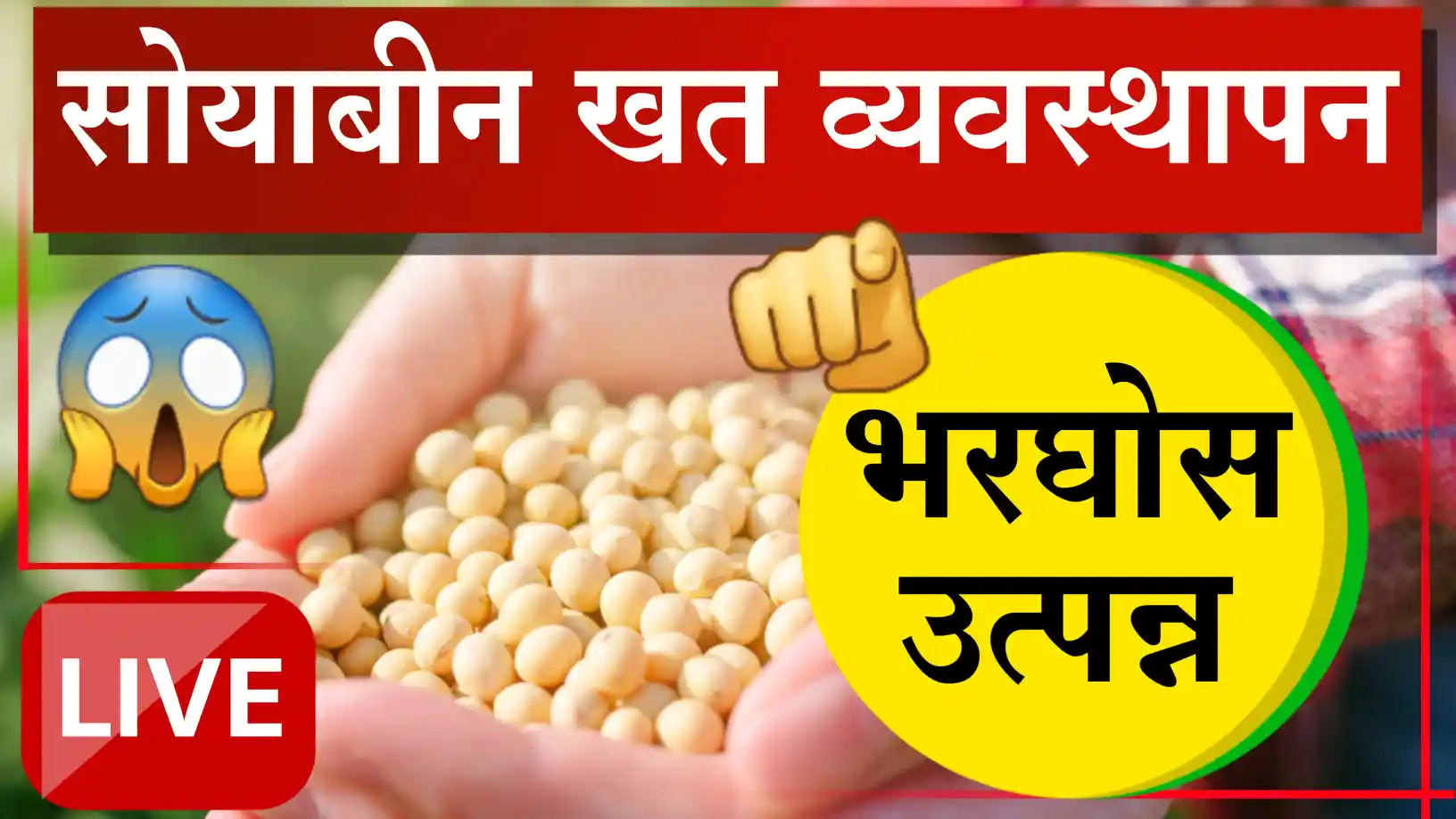 Soybean fertilizer management