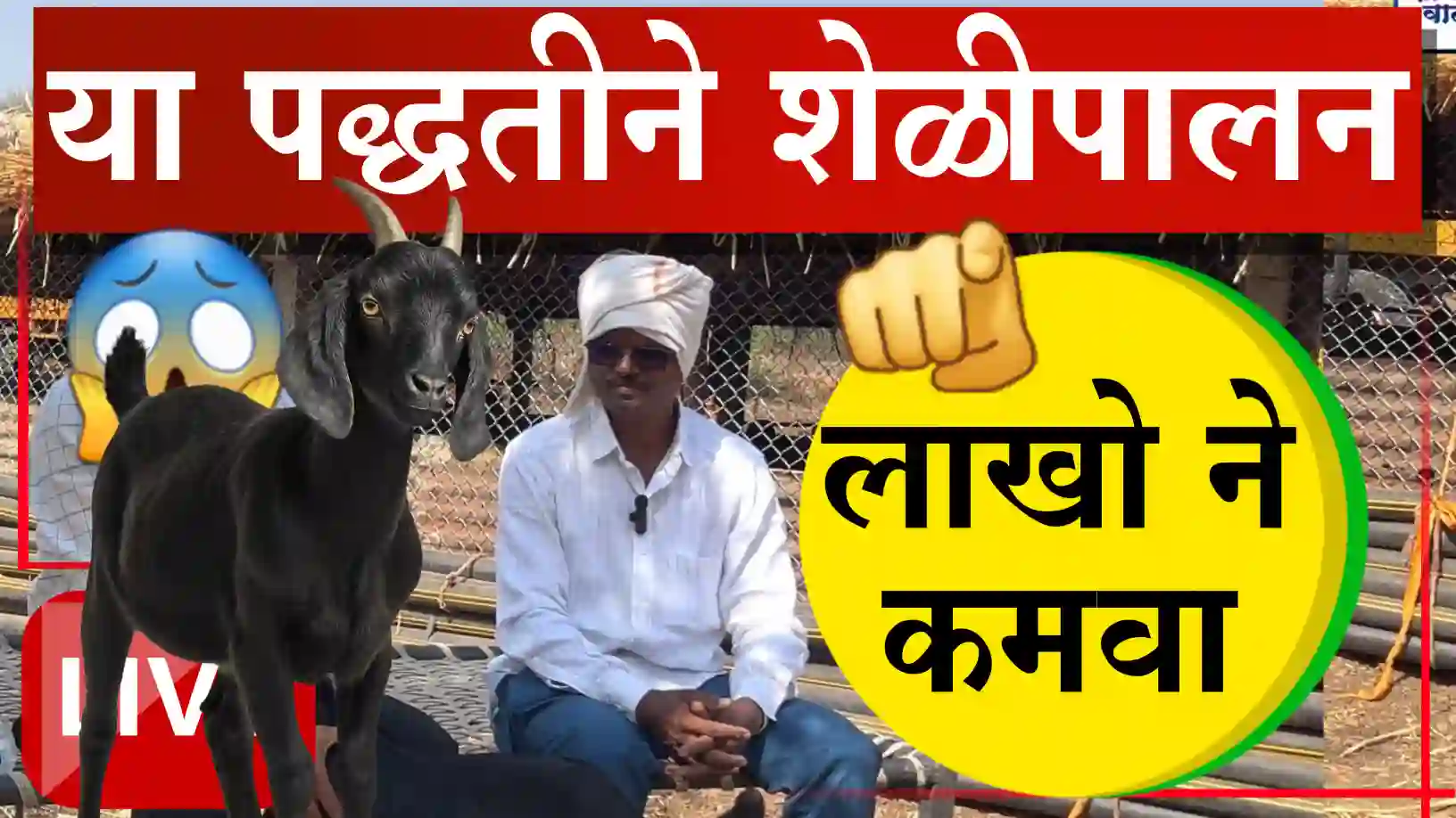 bhanudas Pawar success story