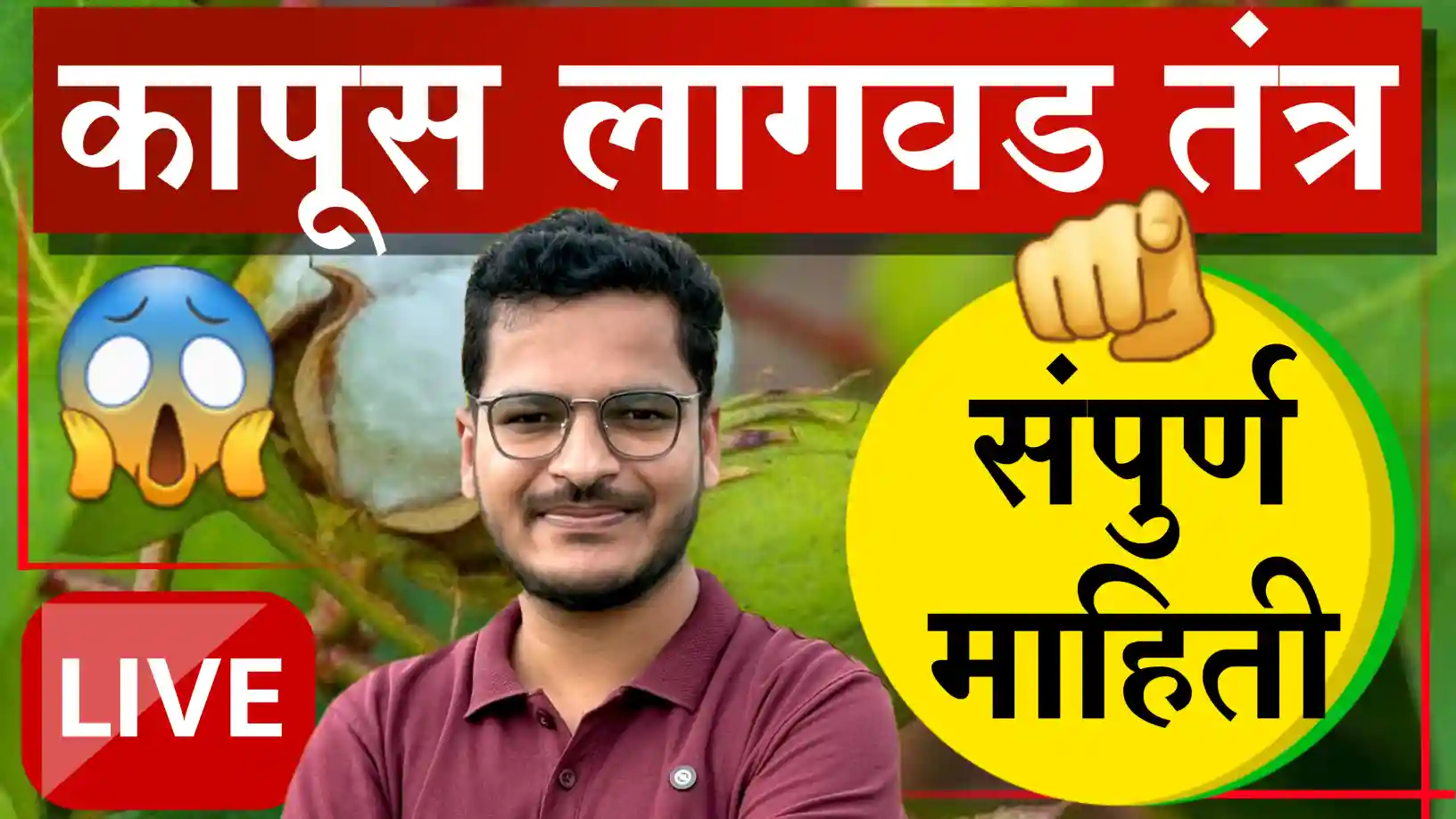 Cotton Planting 2025 Complete Guide