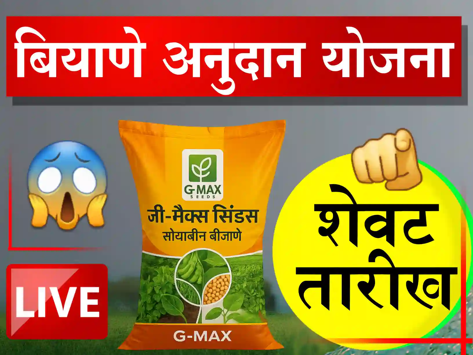 Subsidized Seeds