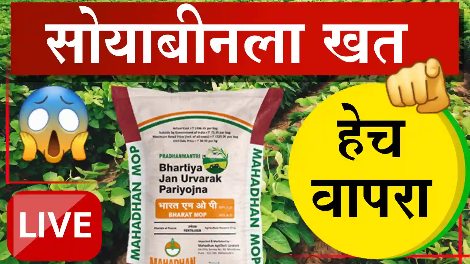 Soybean Fertilizer Management