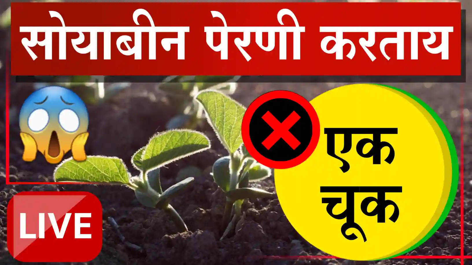 Soybean fertilizer management